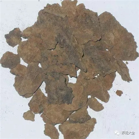 芝麻饼 芝麻饼