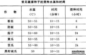 怎样进行蔬菜种子消毒处理