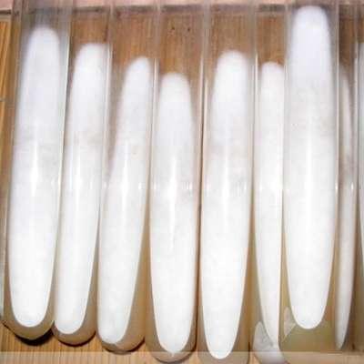 黑木耳菌种如何选?