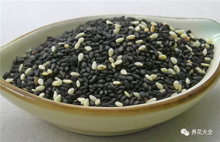 芝麻饼 芝麻饼