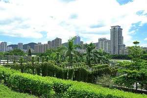 河南《安阳市城市绿化条例》规定了哪些东西？