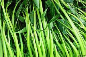 空心菜患白锈病防治技术