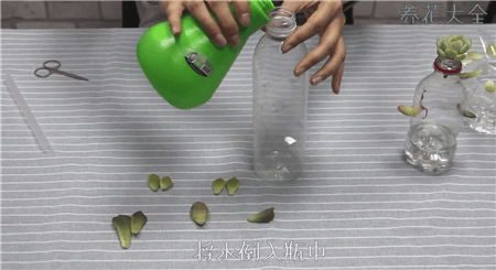 水倒入瓶子 水倒入瓶子