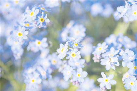 调节生理 调节生理