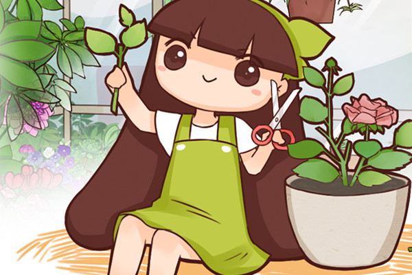 开完的花,拿来扦插,不活你找我 开完的花,拿来扦插,不活你找我