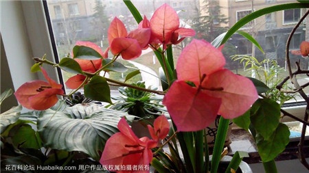 诀窍三:光照 诀窍三:光照