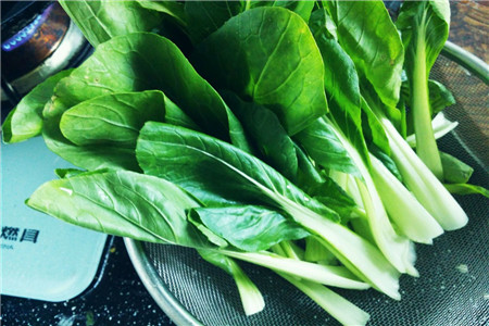 青菜 青菜