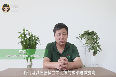 我们可以在肥料当中使氮的水平略微提高 我们可以在肥料当中使氮的水平略微提高