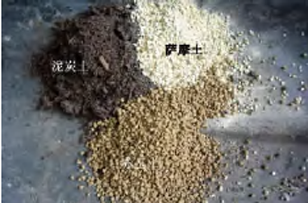 生石花 生石花