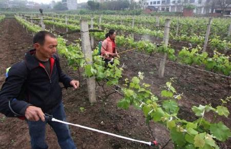 磷酸二氢钾是什么?磷酸二氢钾如何使用?
