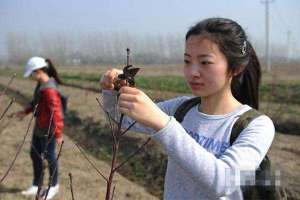 靠种植苗木花卉走上富裕，村里年入10万元还算贫困户
