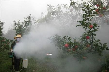 喷施尿素需注意什么?