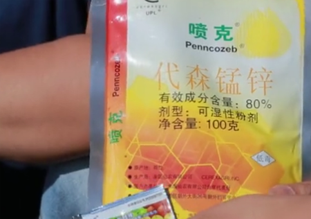 月季常见“黑白红”三种病害如何防治