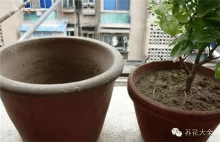 准备花盆 准备花盆