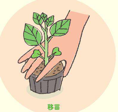 轻轻摇晃小罐 轻轻摇晃小罐