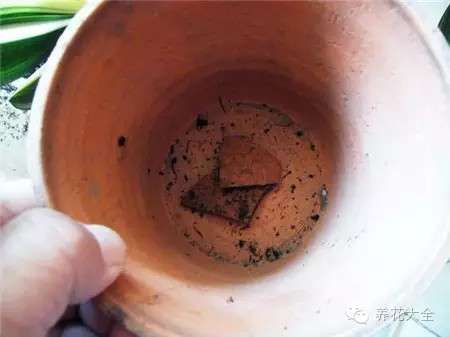 前期工作 前期工作