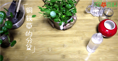 材料 材料