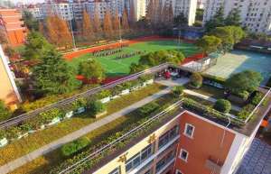 广州：屋顶绿化那么好，为什么推广不了？