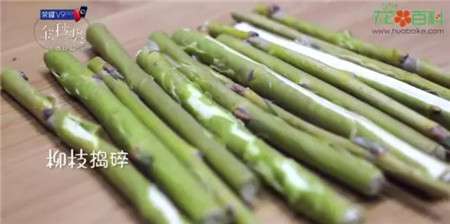 柳树枝条 柳树枝条