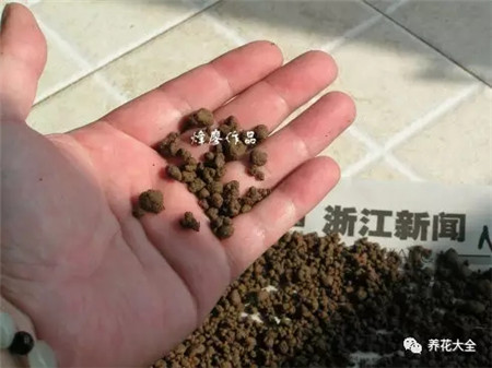 土壤晾干 土壤晾干