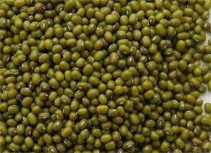 南方绿豆种植技术6要点