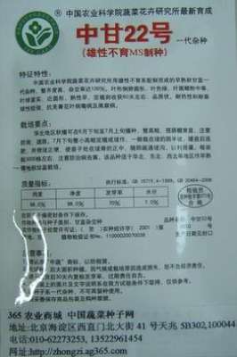 甘蓝菜种植：秋季种植甘蓝要注意什么？