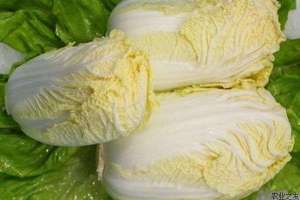如何挑选娃娃菜