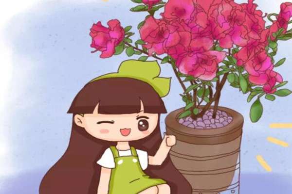 100个花苞剪掉90个,老婆想要锤死他,1个月后乐开了花! 100个花苞剪掉90个,老婆想要锤死他,1个月后乐开了花!