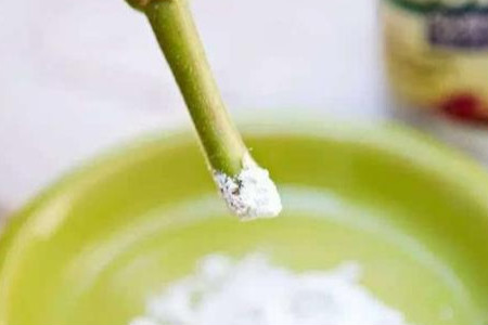 生根粉 生根粉