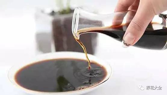 茉莉像她这么养，想开几次开几次！