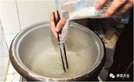白糖和水 白糖和水