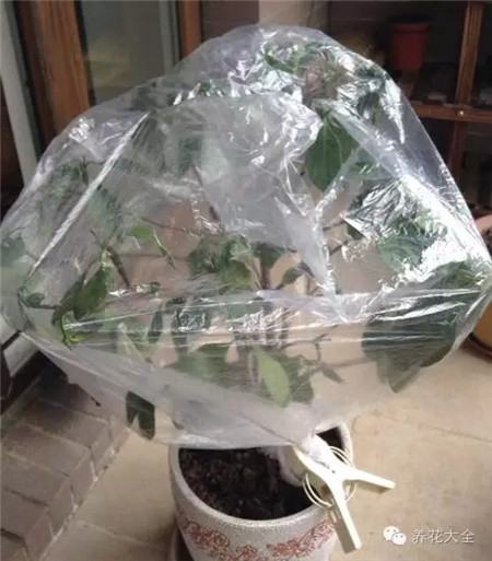 使用方法 使用方法
