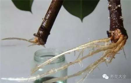 消毒 消毒