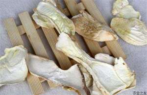 杏鲍菇高效栽培技术要点