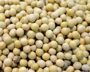 大豆增产秘方