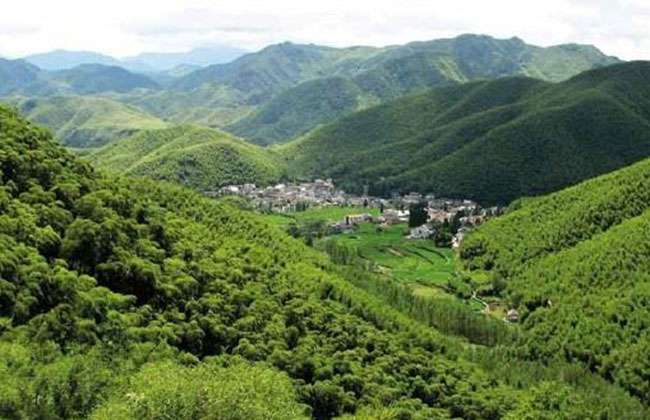 北京春季造林绿化建设全面启动 北京春季造林绿化建设全面启动