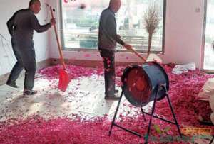 平阴玫瑰连续两年掉价 花农伤心不如种庄稼