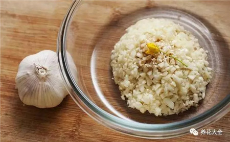 杀菌剂 杀菌剂