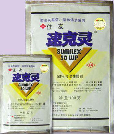 大葱种植技术:什么是大葱褐斑病?
