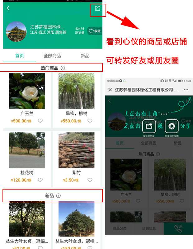 朋友圈.jpg