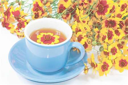 菊花茶 菊花茶
