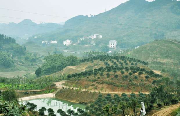 建苗圃2.jpg