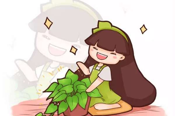 养绿萝的看过来,这样养,才能疯长不发黄 养绿萝的看过来,这样养,才能疯长不发黄