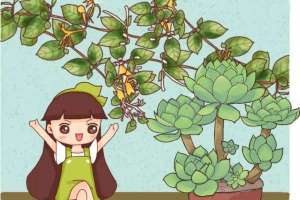 栀子月季…喝口酸甜水，砰砰冒花苞，比打鸡血还管用！