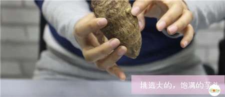 芋头 芋头