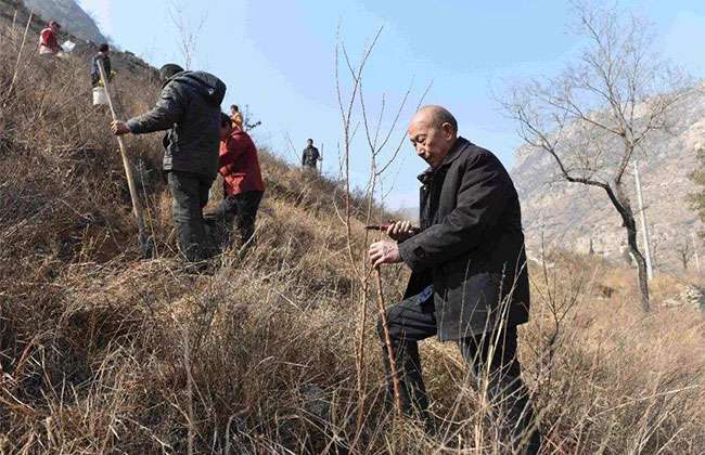 郝景香和他的“郝氏造林法”