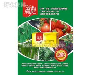 韭菜病毒病防治策略杂谈