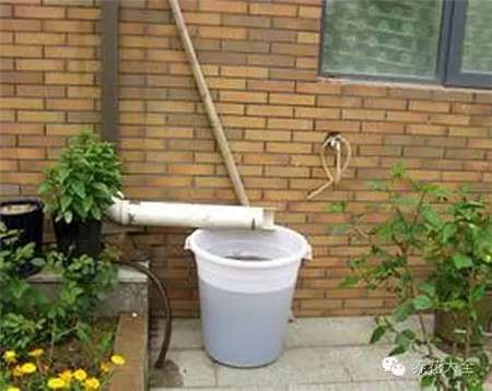 雨水 雨水