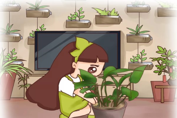 盆边戳个洞,埋点它,花猛蹿狂长,叶子绿得滴油! 盆边戳个洞,埋点它,花猛蹿狂长,叶子绿得滴油!