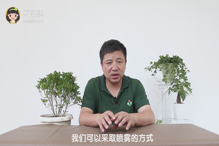 我们可以采取喷雾的方式 我们可以采取喷雾的方式